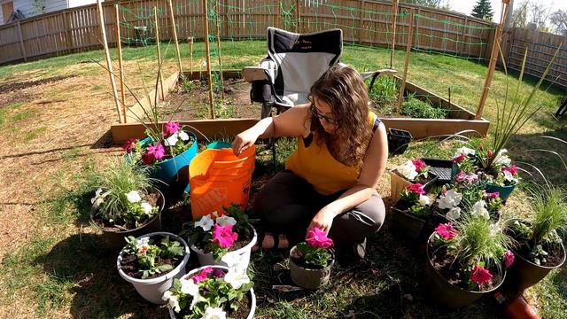 Annual Flower Planters | Planter Recipes Spring Alberta 2021