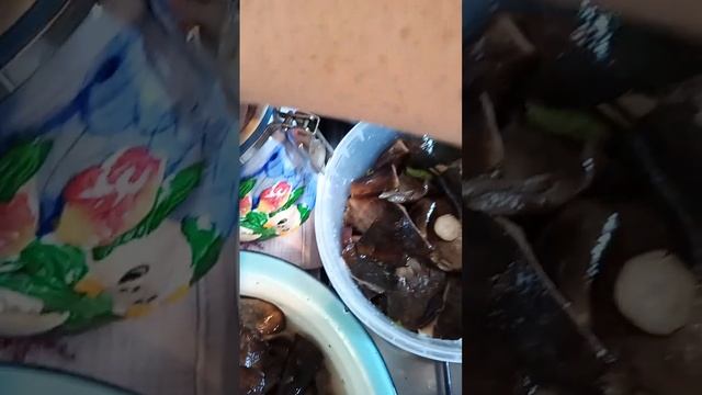 Грибные поделки в стиле шебби-шик