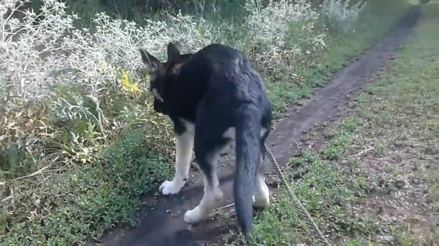 Альме 4 месяца