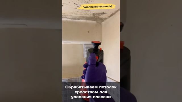 Удаление плесени на потолке в ванной смотреть онлайн