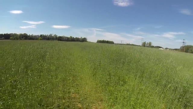 lateDR (латедр) смотреть онлайн