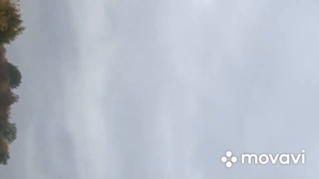 Первая тренировка почтовых голубей смотреть онлайн