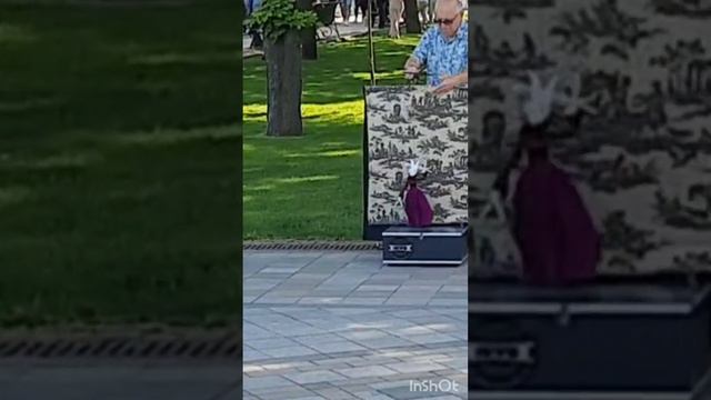 Нельзя не улыбнуться! смотреть онлайн