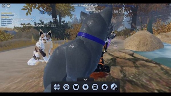 Обновление в ||??Warrior Cats?|| ❗❗❗