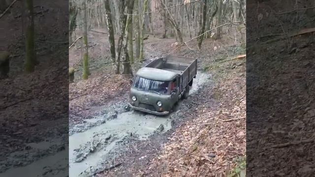 Головастик зверь. смотреть онлайн