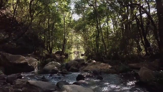 2 HOURS of Beautiful Instrumental & Relaxation for Programming смотреть онлайн