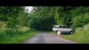 Лесси. Возвращение домой  Lassie Come Home 2020