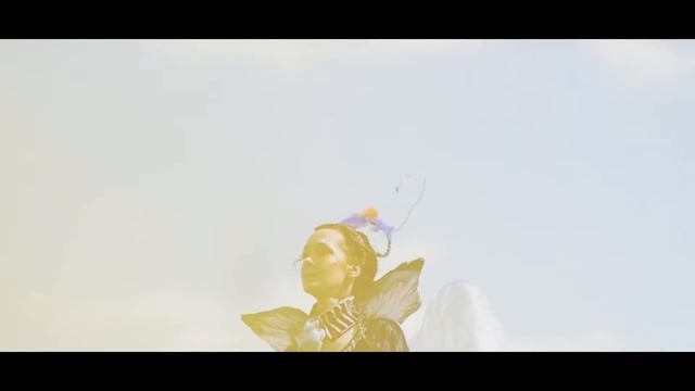 Мотыльки и бабочки Видеограф Сибарсов Эдуард