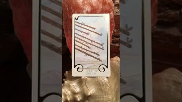 DAILY ORACLE :: 8 of wands :: keep moving forward - 3/10/19 смотреть онлайн