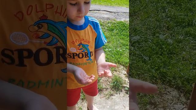 Шок!!! Ручная муха)) смотреть онлайн