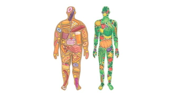 7 тренировочных советов для новичков смотреть онлайн