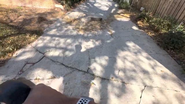 Heavy Leaf Cleanup Stihl BR600 Satisfying Blower Blowing Leaves смотреть онлайн