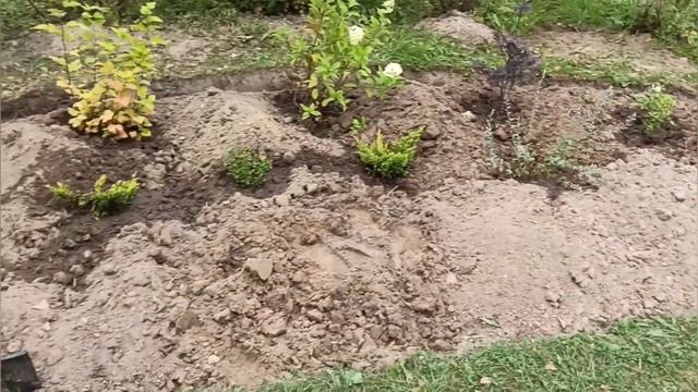 Розовая жизнь в деревне закончена!? Лирическое видео про конец лета.? смотреть онлайн