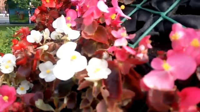 Камера Sony Xperia C4: примеры видео с 5-Мп и 13-Мп камер (camera Test)