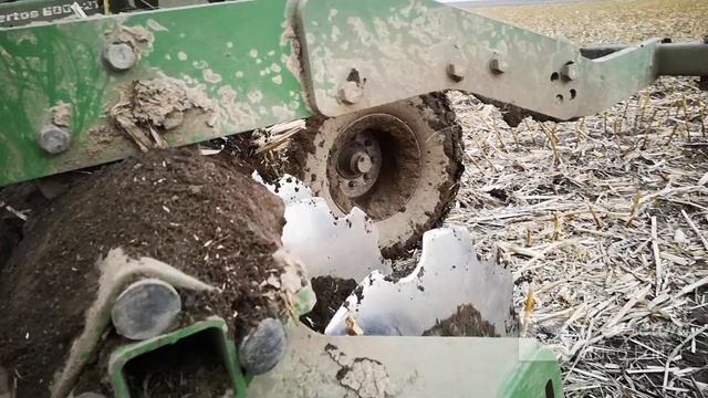 ?✅Лущение стерни кукурузы дискатором AMAZONE смотреть онлайн