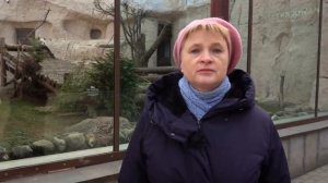 #Moscowwithyou — Tour around The Moscow Zoo