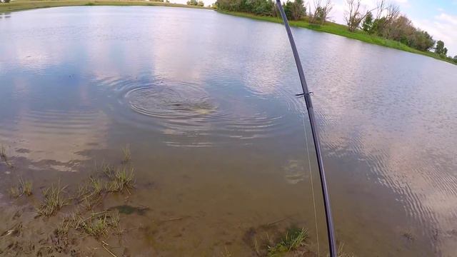 Коротенькая рыбалка смотреть онлайн