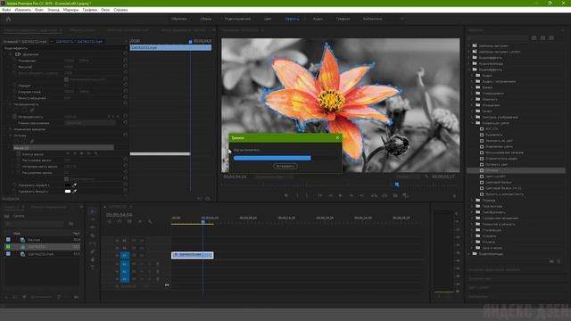 Premiere Pro: Цветной объект на черно-белом фоне смотреть онлайн