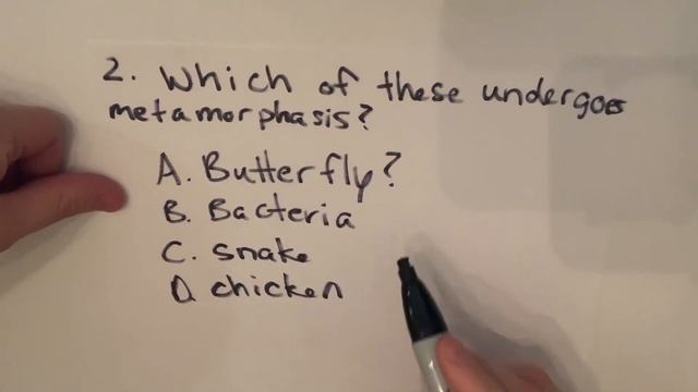 Picat Prep General Science: What is metamorphosis? смотреть онлайн
