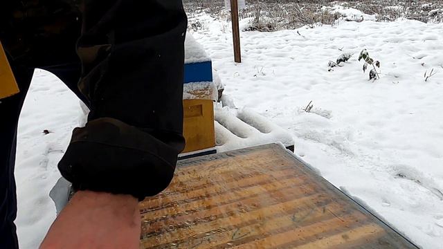Зимовка пчёл. Контроль кормом смотреть онлайн