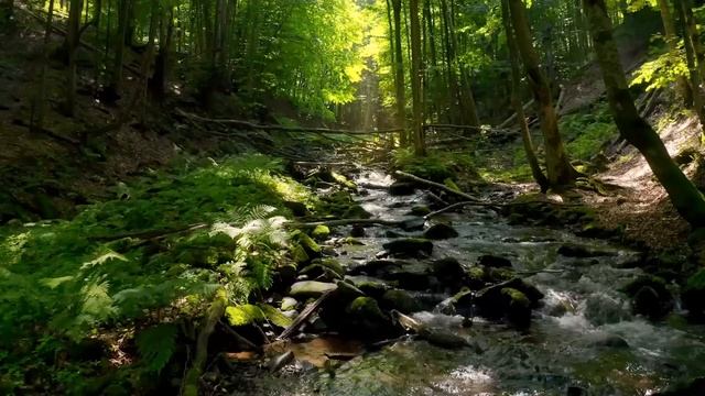 Focus Music For Work And Studying / Background Music For Concentration, Study Music, Thinking Musi смотреть онлайн