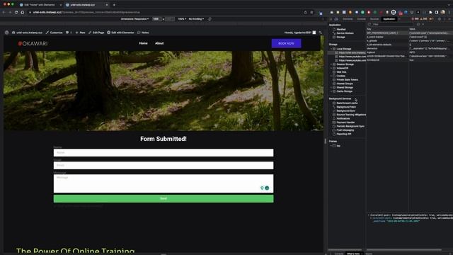 Keep Your Elementor Form Hidden After Submission Using jQuery and Cookies смотреть онлайн