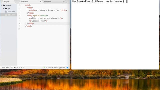Chapter 2 : GIT / GITHUB - Working with Staging Area смотреть онлайн