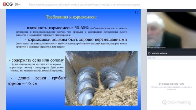 Балансировка рационов кормления скота в зимне стойловый период с учетом качества кормов смотреть онлайн