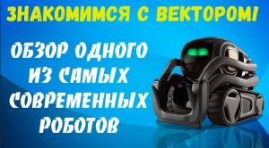 Обзор робота Anki Vector! На что способен искусственный интеллект?
