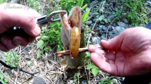 Воблеры для щуки. Малас и его копии. Есть ли разница в уловистости