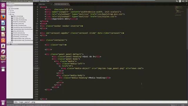 Bootstrap 3 : Création de Panel смотреть онлайн