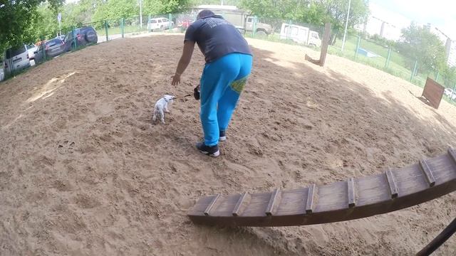 Билли Бой, что с твоим глазом?