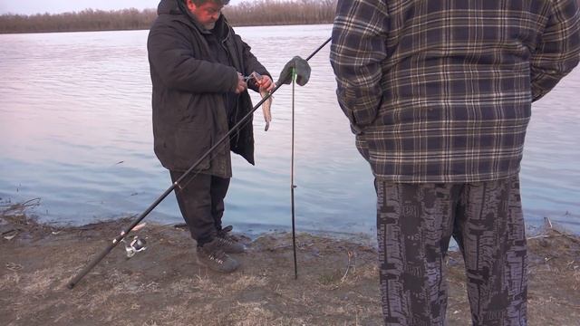Налим Недомерок смотреть онлайн