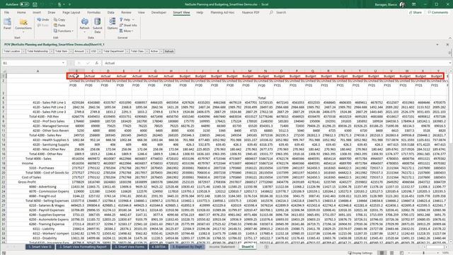 NetSuite Planning & Budgeting: Smart View for Microsoft Office смотреть онлайн