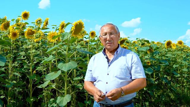 Гибриды подсолнечника и система защиты от компании Сингента Казахстан смотреть онлайн