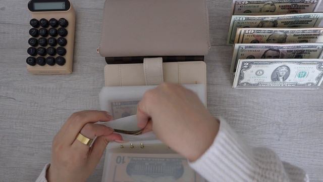 February Cash stuffing | A7 Compact Zippy Wallet + A6 Checkered Binder Launch | Dave Ramsey Inspire смотреть онлайн