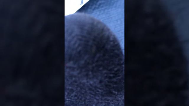 Pack opening before Harry Potter marathon part uno смотреть онлайн