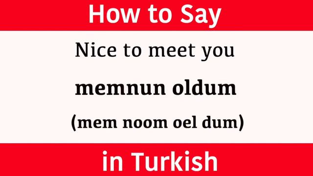 Learn Turkish & How to say "Nice To Meet You" in Turkish with Fast & Easy Turkish Lessons смотреть онлайн