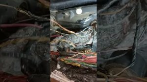 Лада гранта ремонт задних габаритов и подномерника