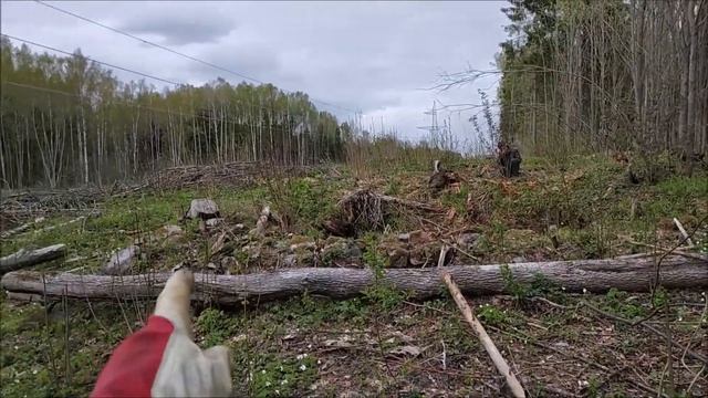 Золото партии! Не копаный хутор с монетами! смотреть онлайн