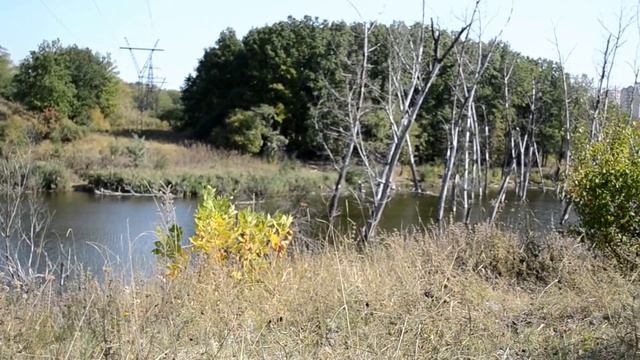 пикник - 1 октября 2015 год смотреть онлайн