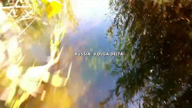 "Охотничья полька Штрауса". Видео от бутик-отеля РЫБЗАВОД (FISH FACTORY HOTEL) смотреть онлайн