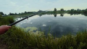 бесплатная Рыбалка Адыгея...Карьеры...Окунь.