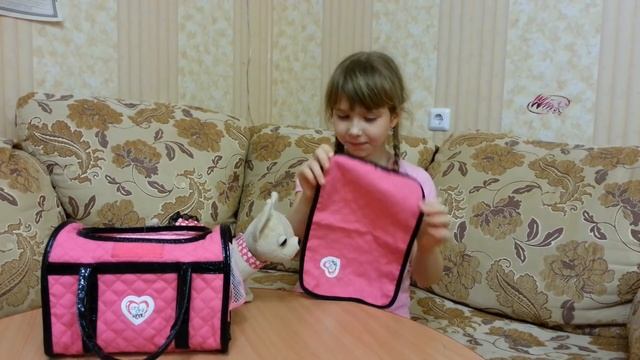 Чичи лав собачка! My Chichilove! 1с смотреть онлайн