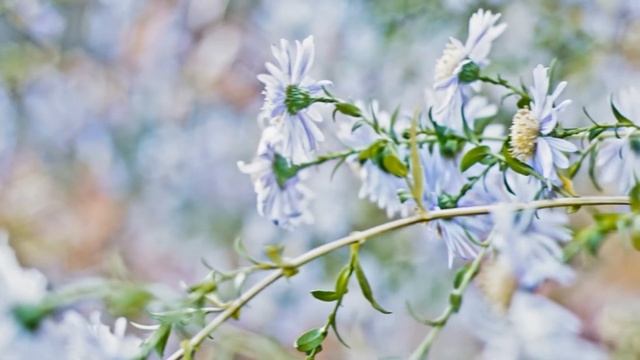 DIY Slider test смотреть онлайн