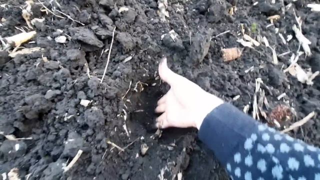 Страшна дісковка кукурудзи⛔ПОМІНЯВ крузак на дирчик❗? смотреть онлайн