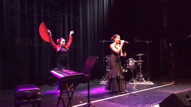 Jennifer Lopez | Qué Hiciste | flamenco cover смотреть онлайн