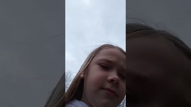 vlog)) я иду гулять с собакой смотри до конца там я напишу жесть смотреть онлайн