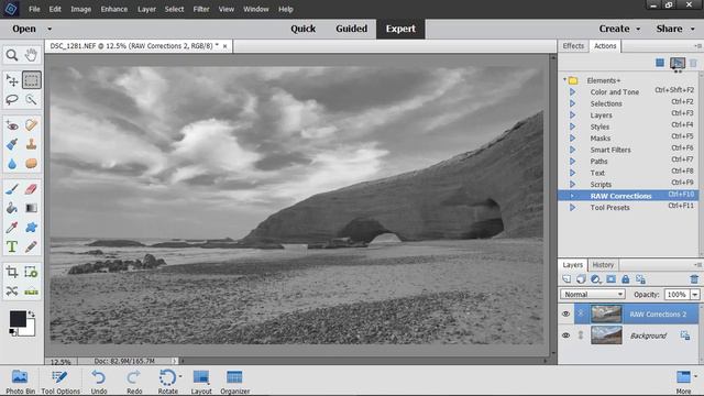 RAW Corrections: BW and Toning (PSE 11+, Elements+) смотреть онлайн