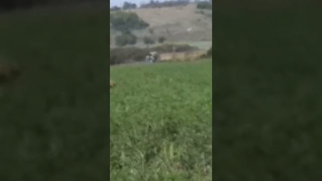 Юмз-6 кл работа на полях:) смотреть онлайн